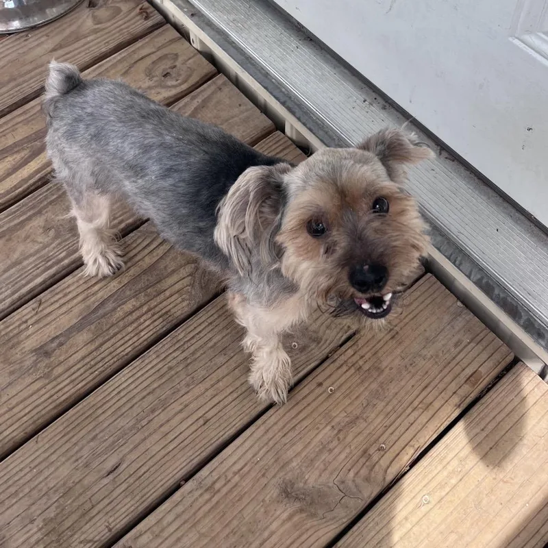 Tucker James thumbnail 2