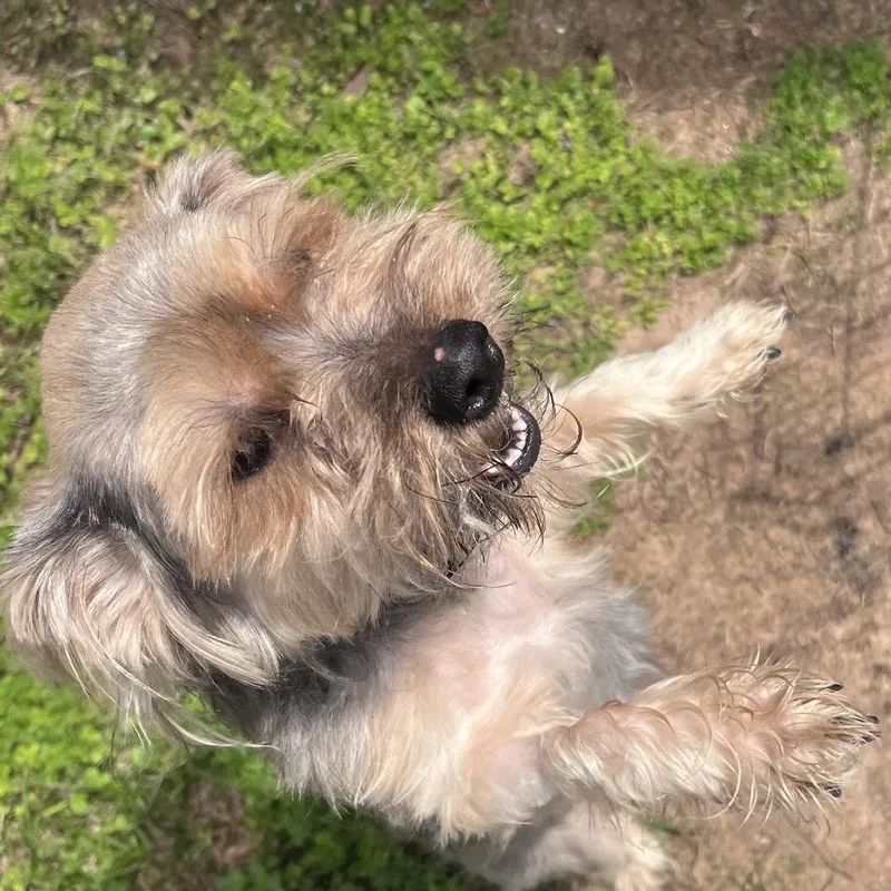 Tucker James thumbnail 3