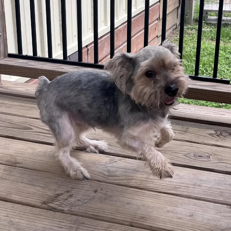 Tucker James thumbnail 4