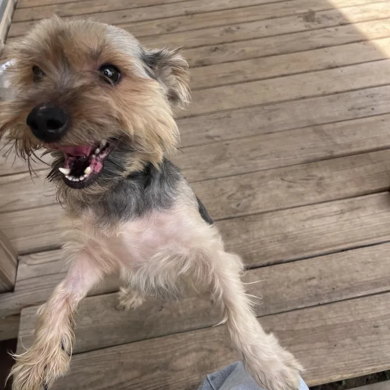 Tucker James thumbnail 5