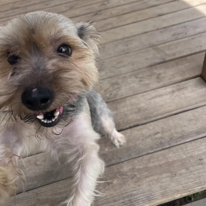 Tucker James thumbnail 6