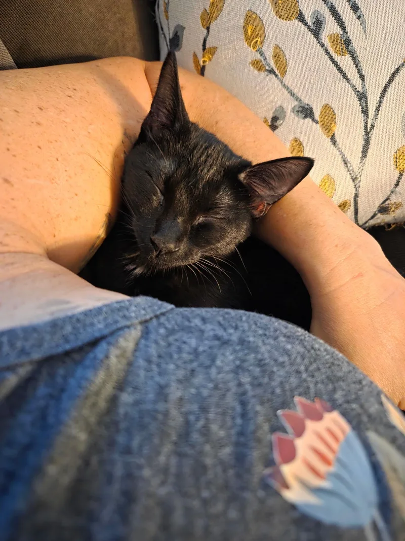 Gretchen =^.^= thumbnail 4