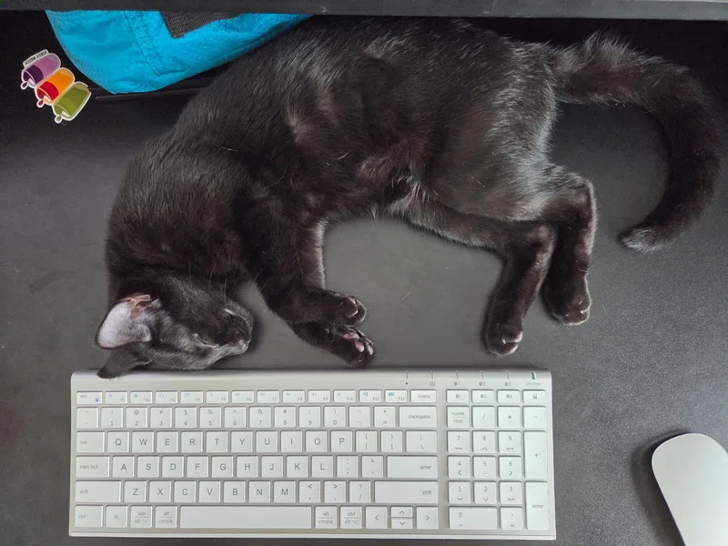 Gretchen =^.^= thumbnail 5