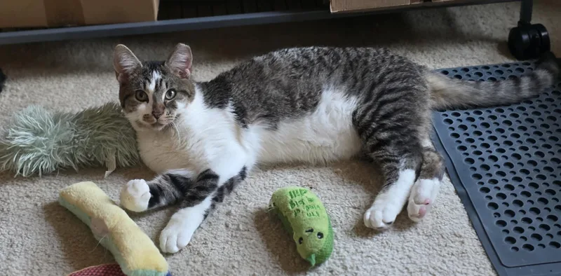George thumbnail 3