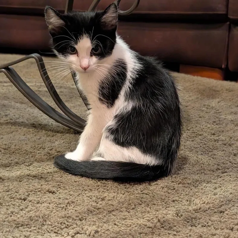 Cathew McCataughey