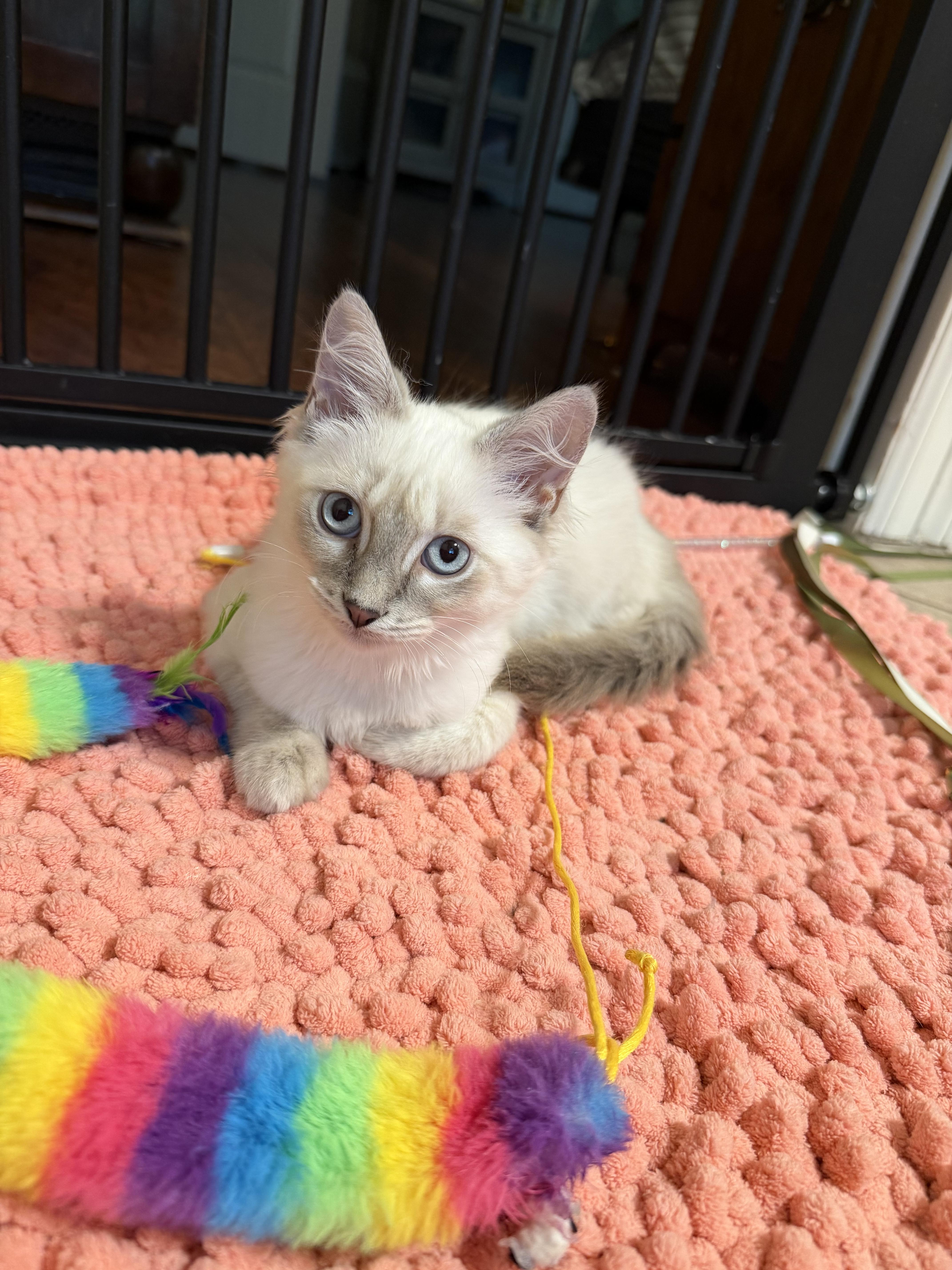 Sabrina Riley Fuzzel
