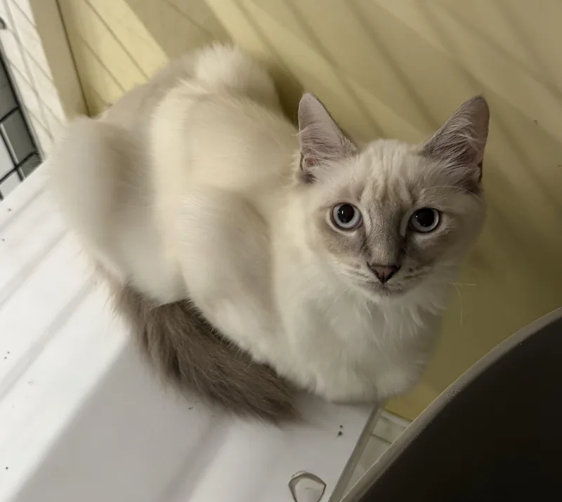 Sabrina  Riley Fuzzel thumbnail 2