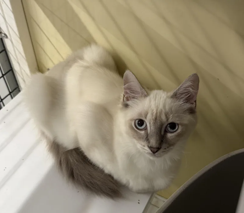 Sabrina  Riley Fuzzel thumbnail 3