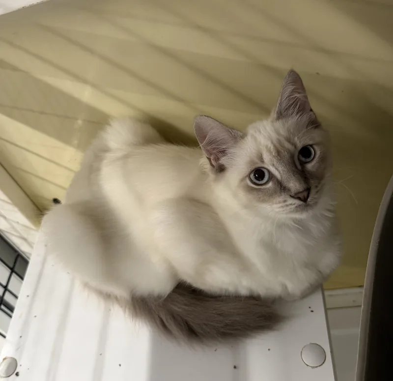 Sabrina  Riley Fuzzel thumbnail 5