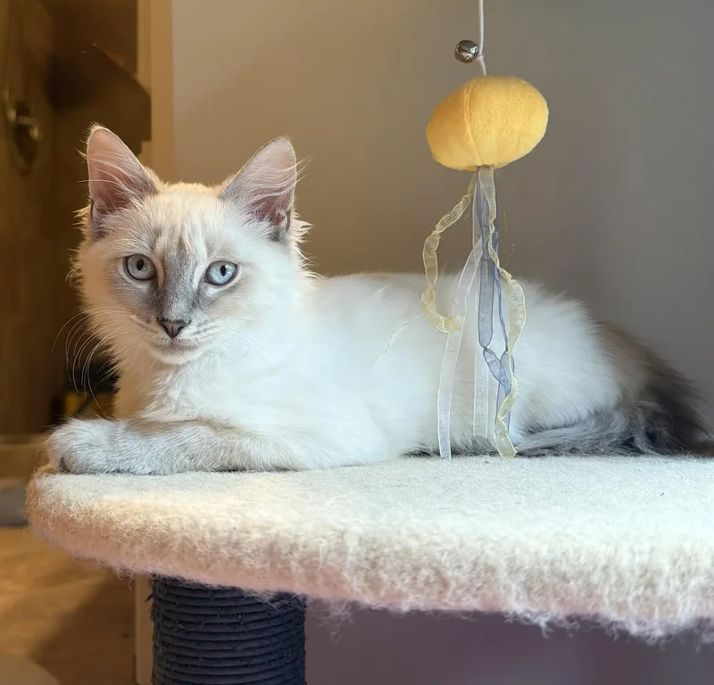 Sabrina  Riley Fuzzel thumbnail 6