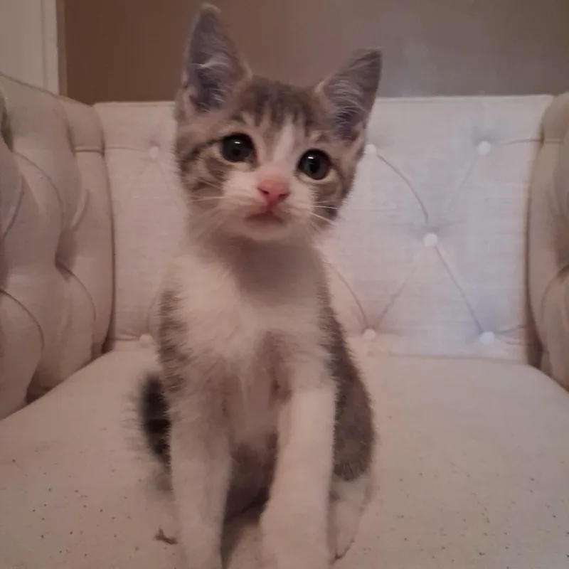 Marvin thumbnail 2