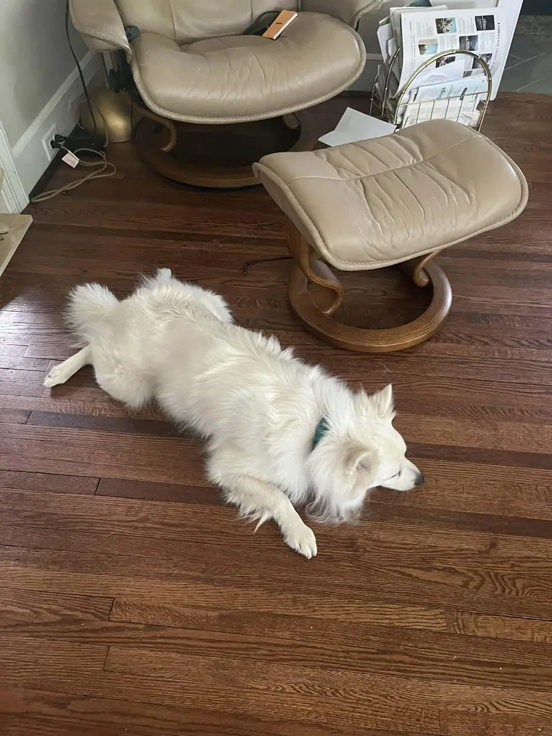 Paul Mitchell thumbnail 2