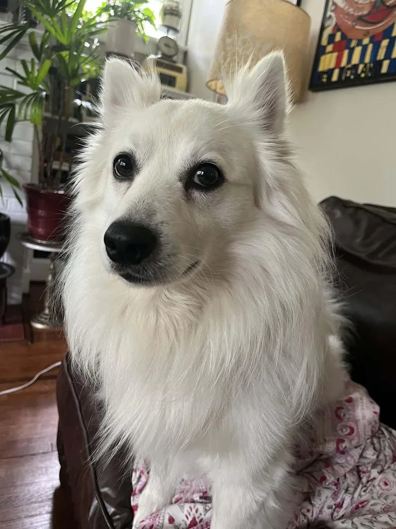 Paul Mitchell thumbnail 3