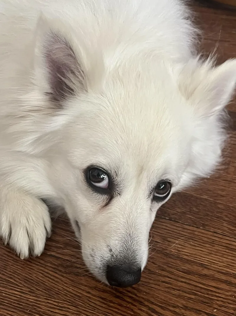 Paul Mitchell thumbnail 4