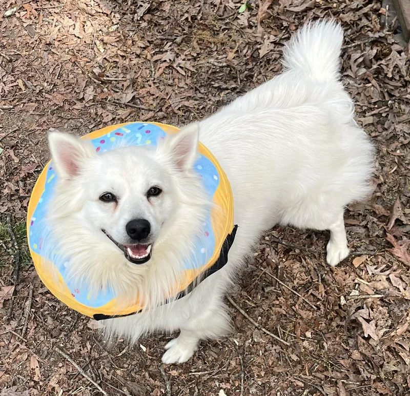 Paul Mitchell thumbnail 5