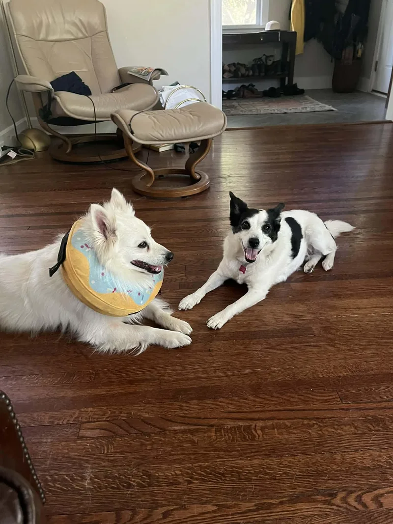 Paul Mitchell thumbnail 6