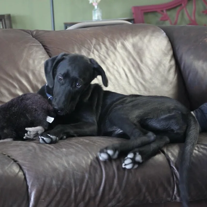 Mary Mead thumbnail 2