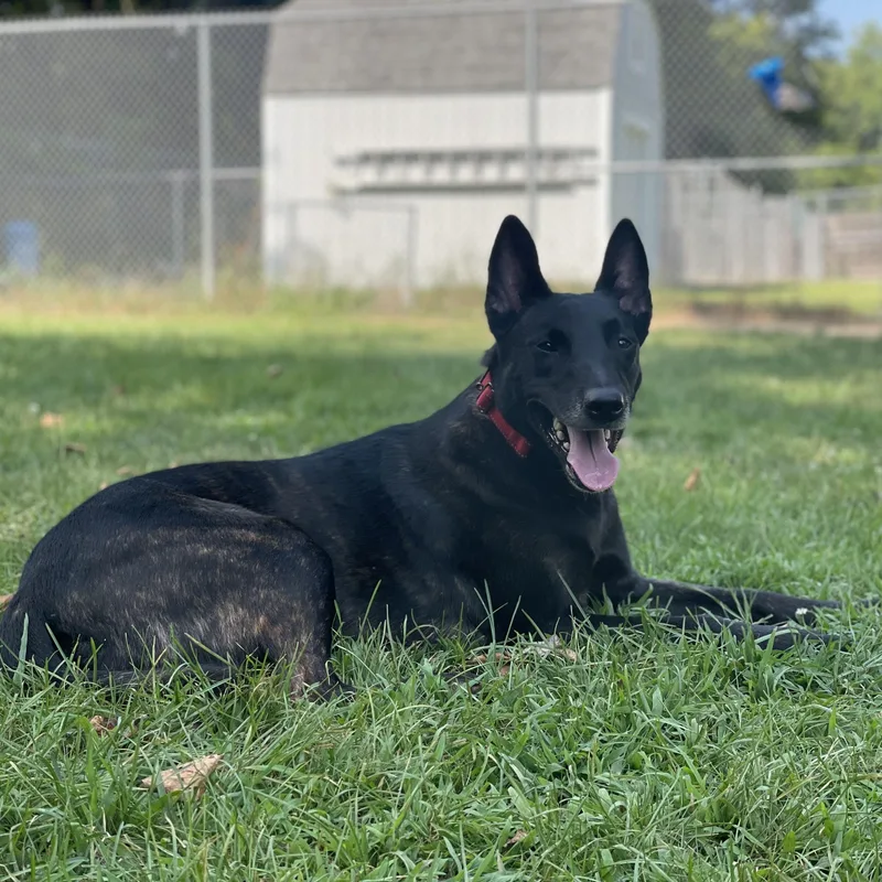 Cleopatra thumbnail 2