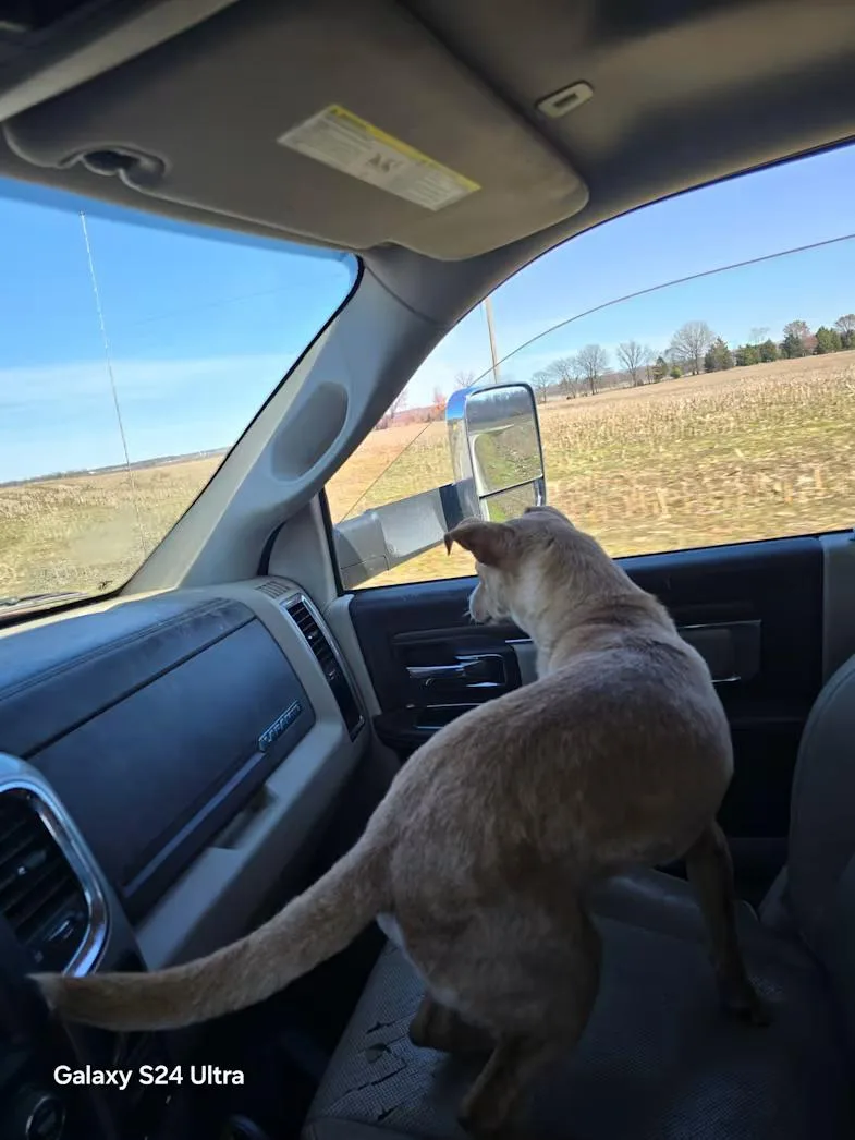 Max ~  Lbs thumbnail 2