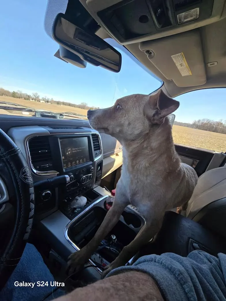 Max ~  Lbs thumbnail 4