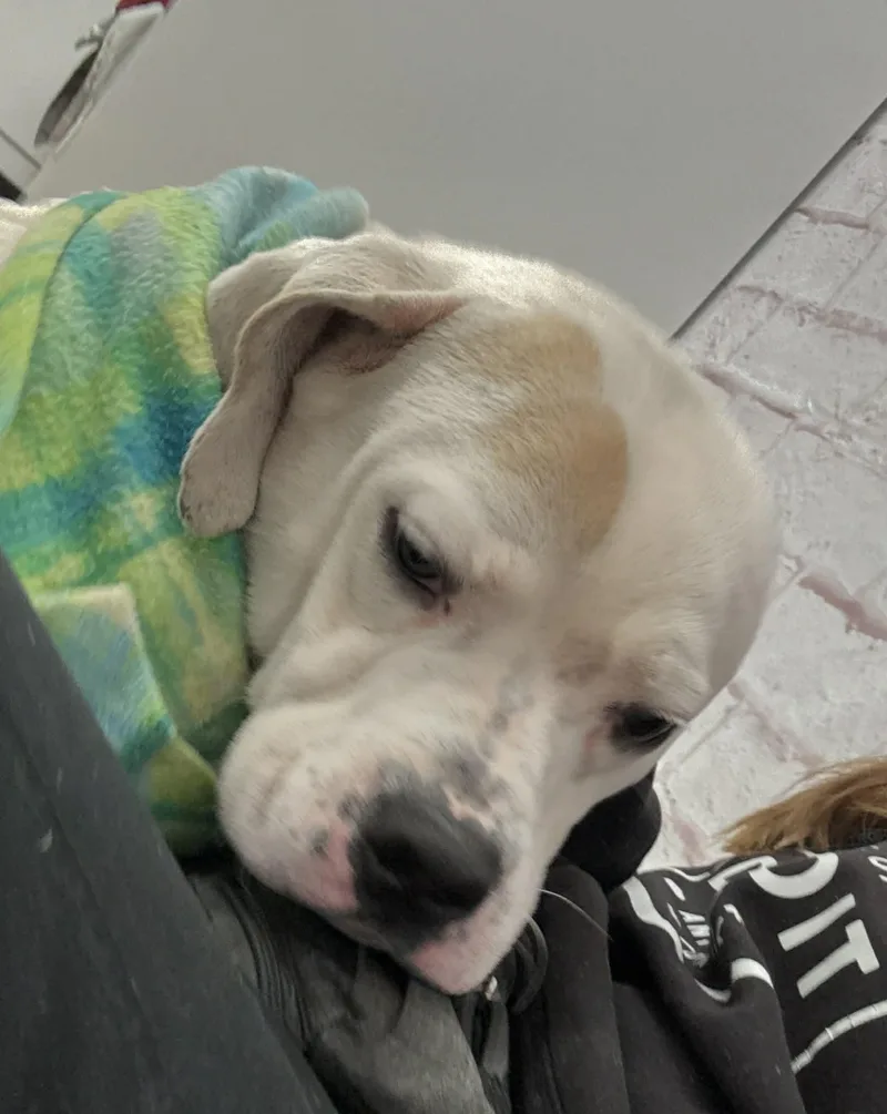 Finnigan thumbnail 2