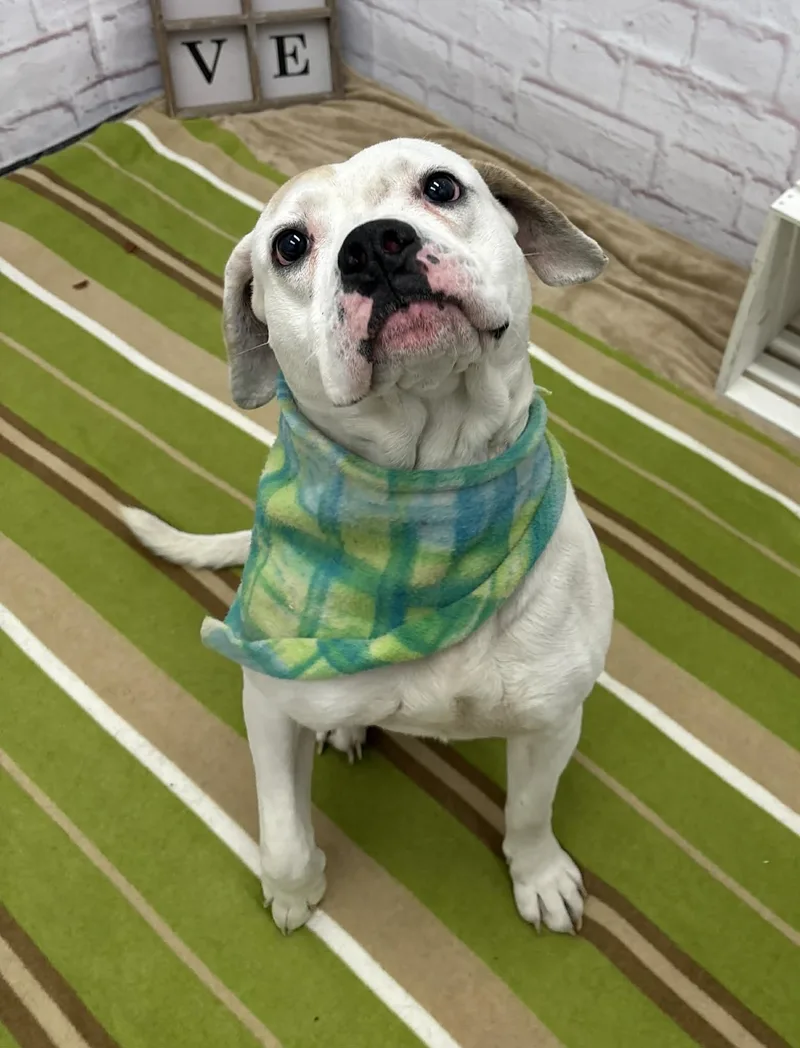 Finnigan thumbnail 3