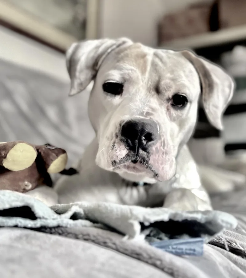 Finnigan thumbnail 5