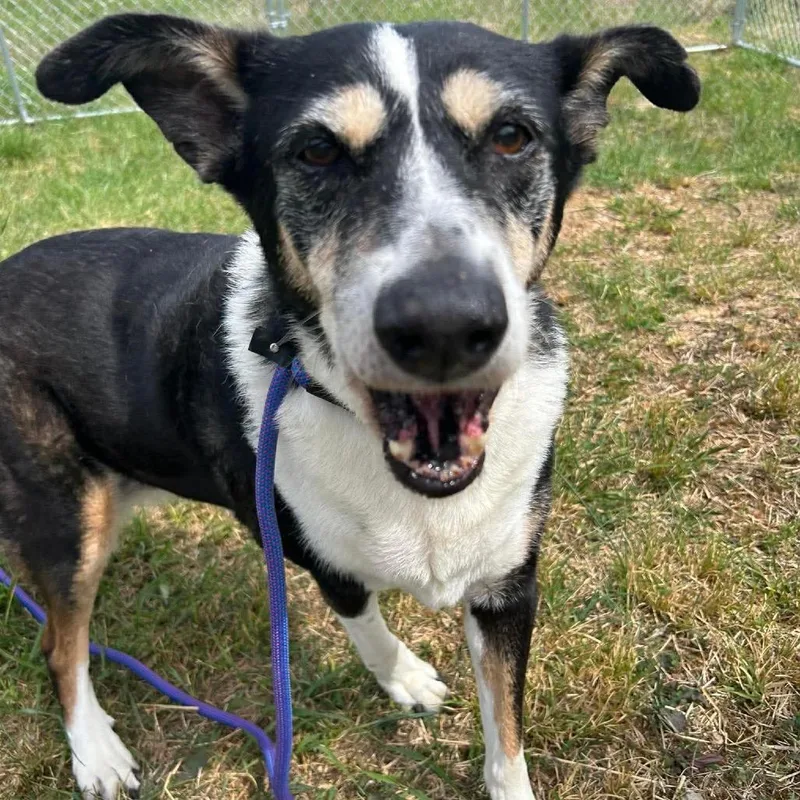 Baby Girl thumbnail 2