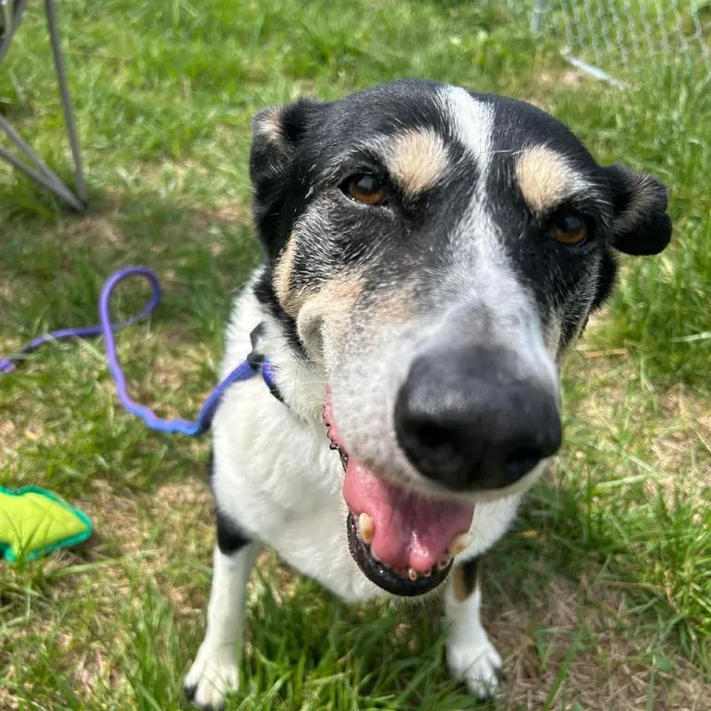 Baby Girl thumbnail 3