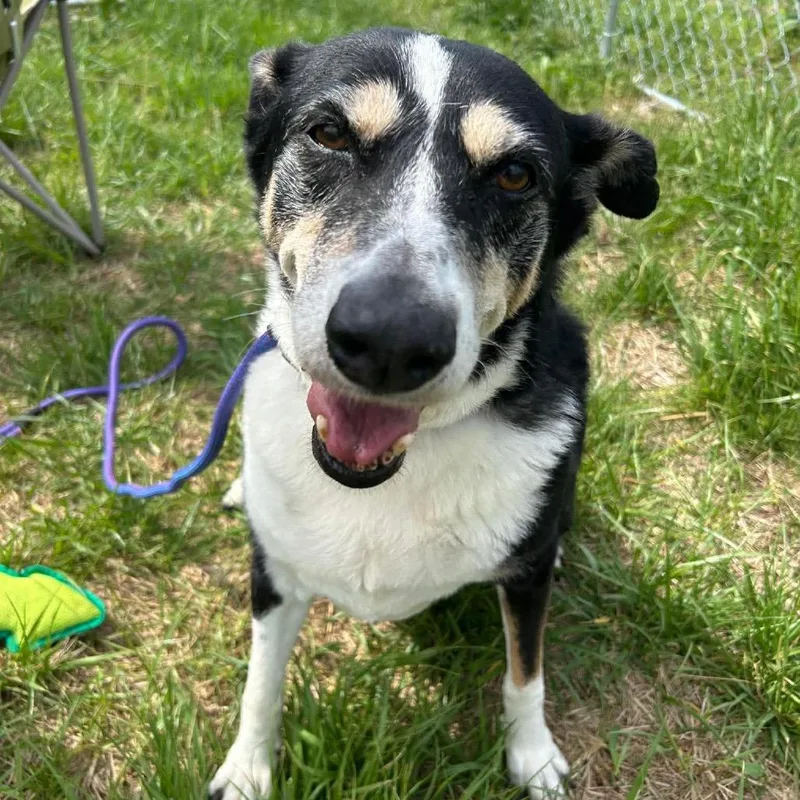 Baby Girl thumbnail 4