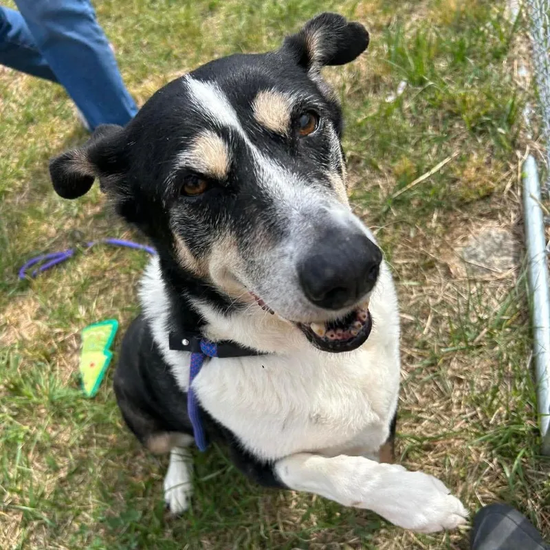 Baby Girl thumbnail 5