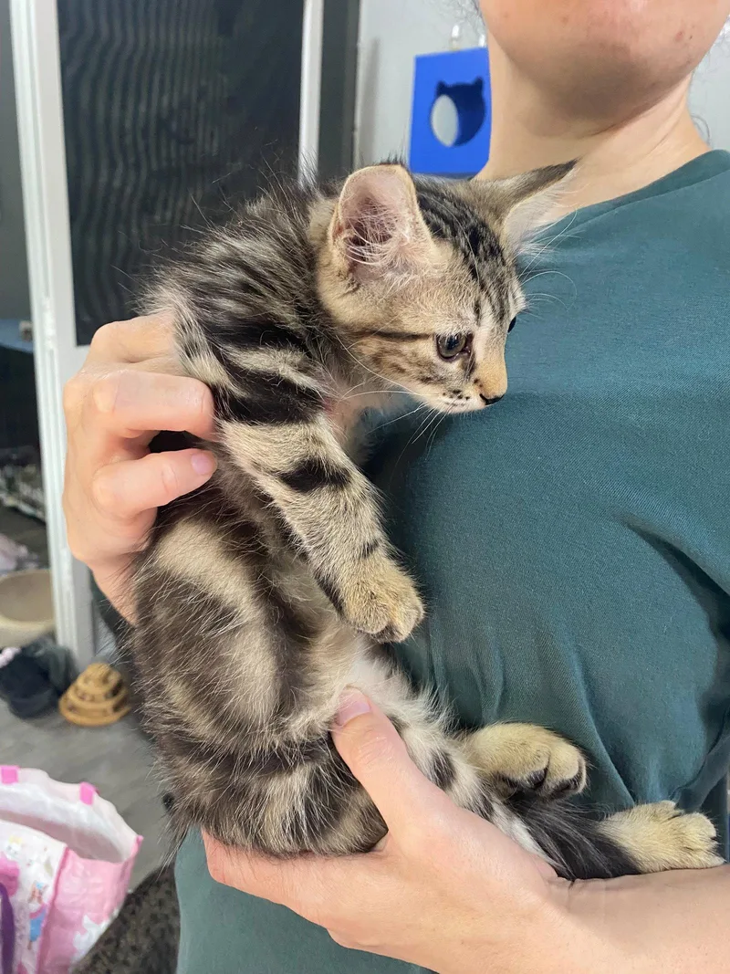 Milo