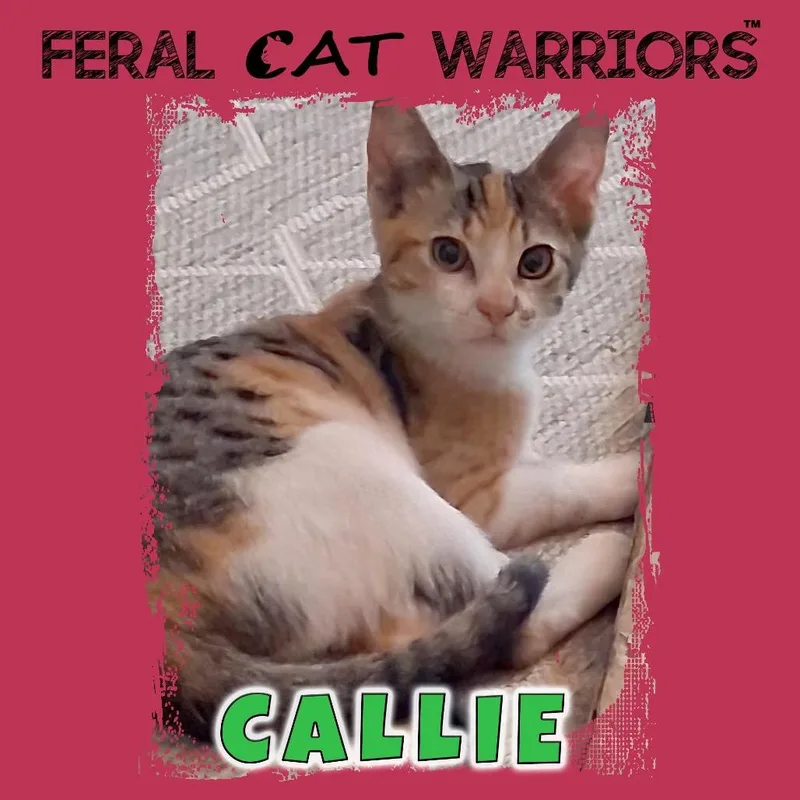 Callie thumbnail 2