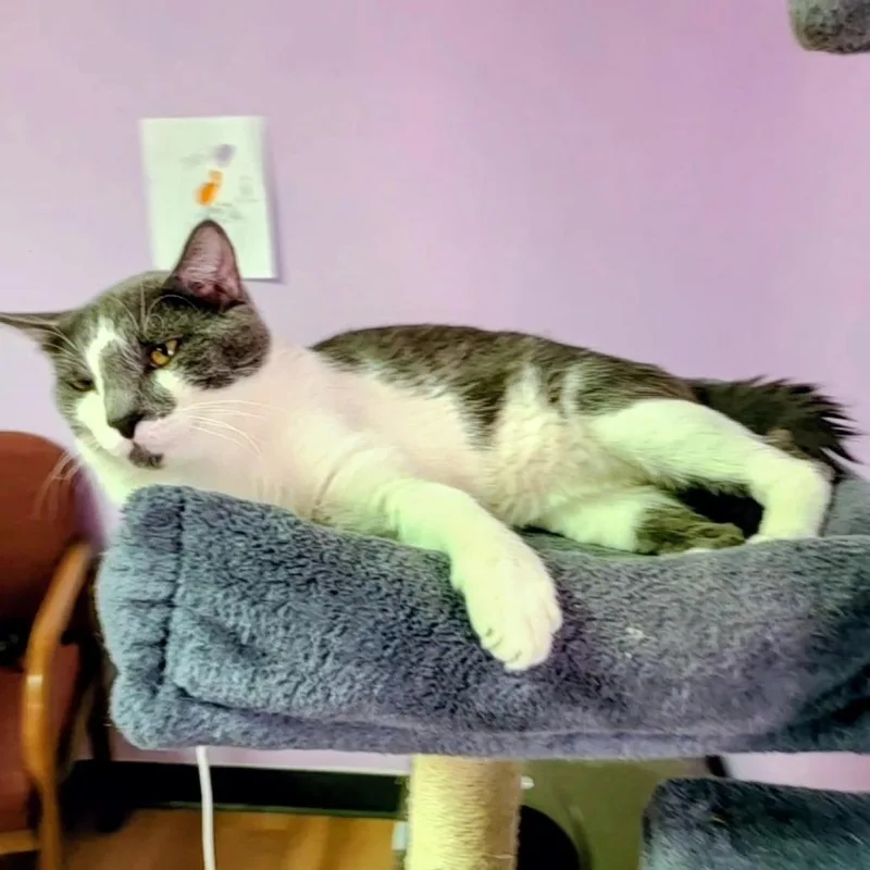 Peanut thumbnail 3