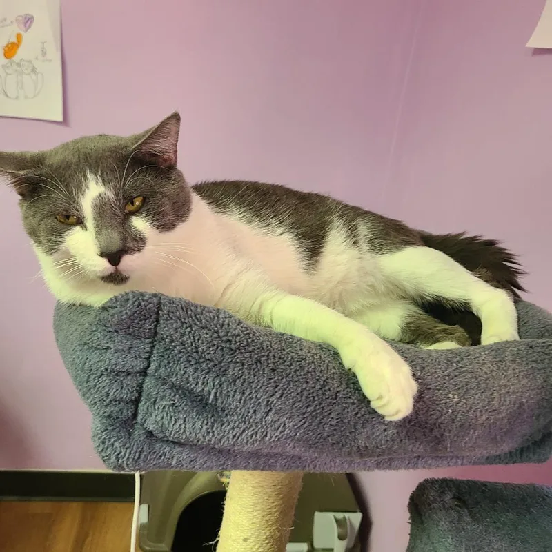 Peanut thumbnail 5