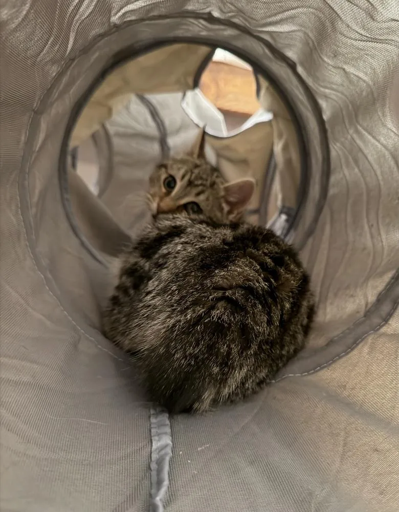 Schitt's Creek:  David thumbnail 3