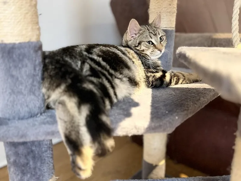 Schitt's Creek:  David thumbnail 5