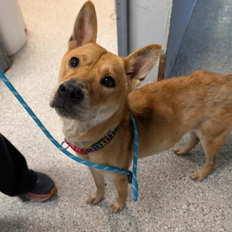 Ingrid Gwen thumbnail 2