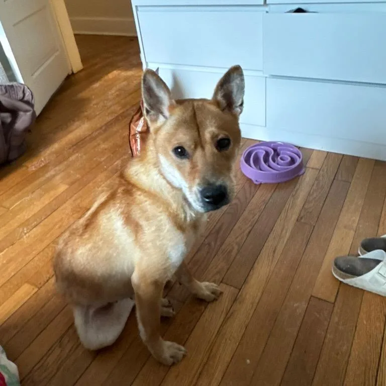 Ingrid Gwen thumbnail 3