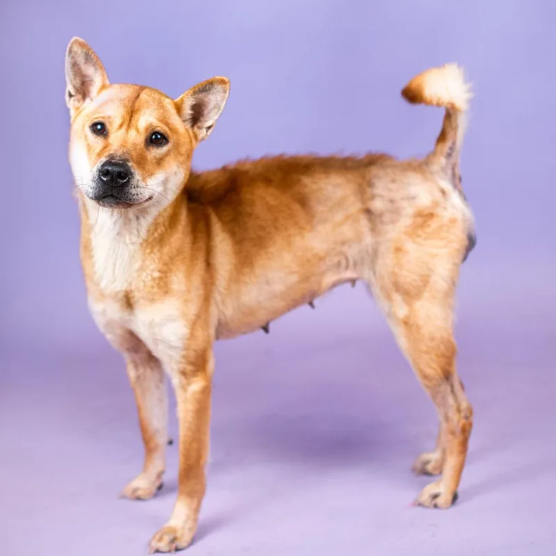 Ingrid Gwen thumbnail 4