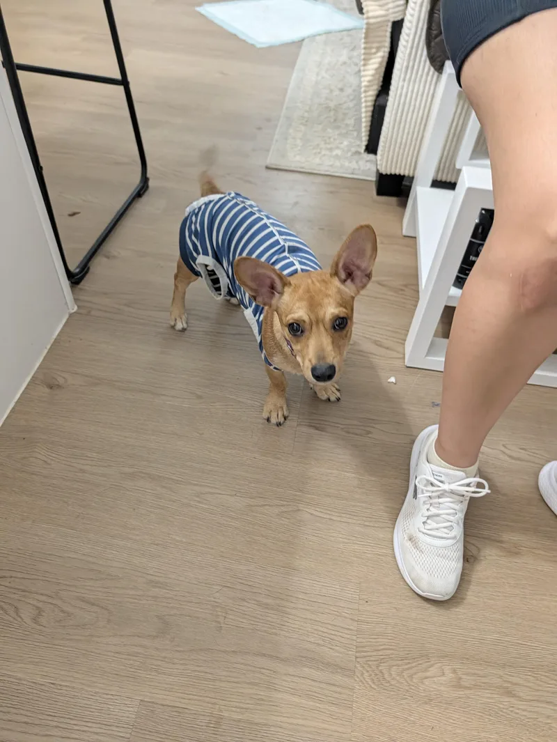 Ellie thumbnail 5