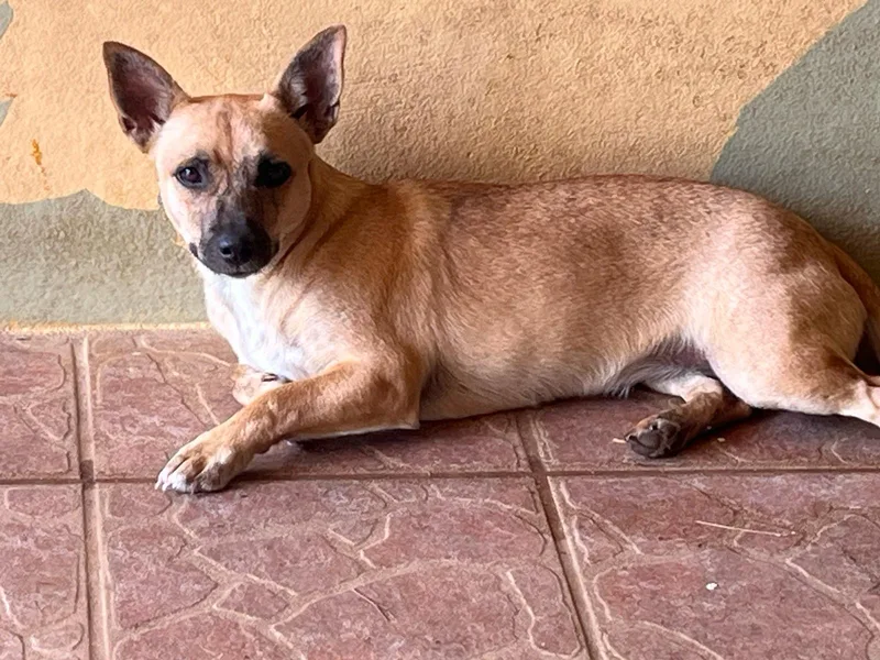 Chiquita "a Big Lover!"