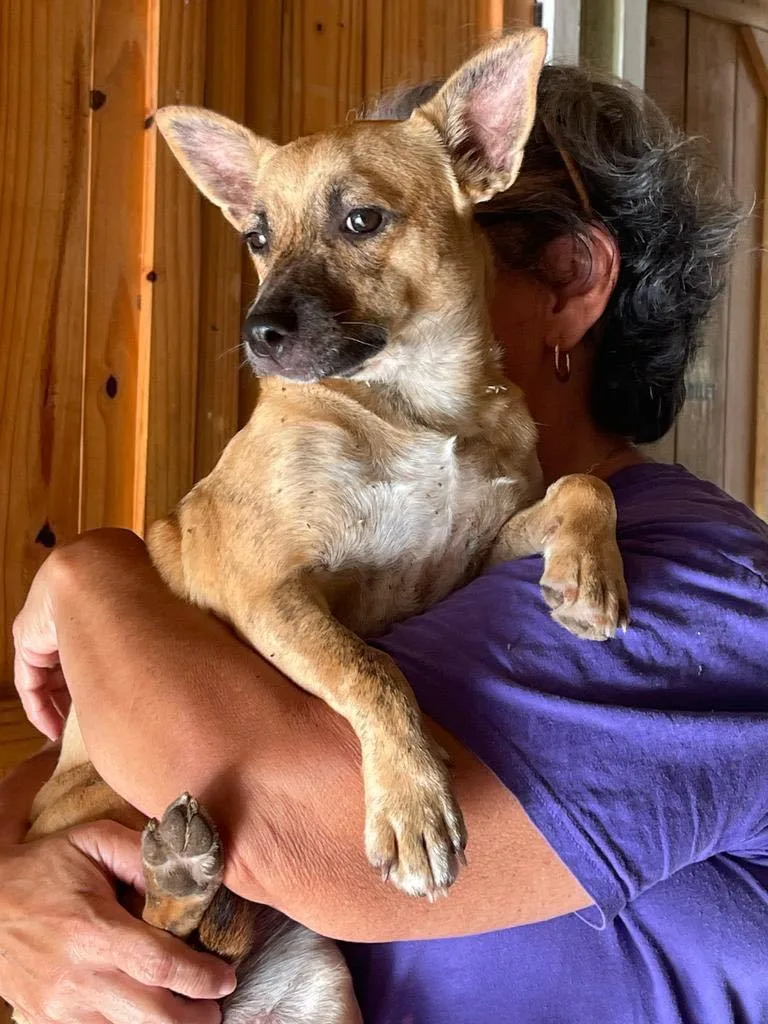 Chiquita "a Big Lover!" thumbnail 2