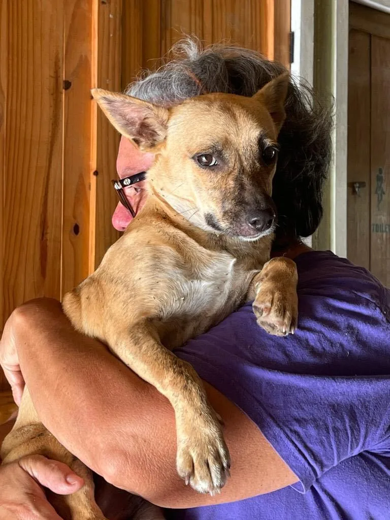 Chiquita "a Big Lover!" thumbnail 3