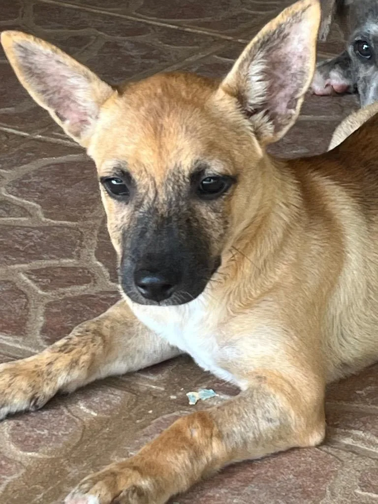 Chiquita "a Big Lover!" thumbnail 4