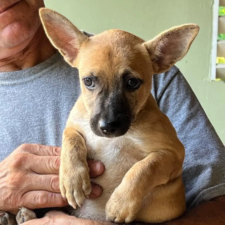 Chiquita "a Big Lover!" thumbnail 5