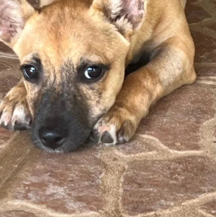 Chiquita "a Big Lover!" thumbnail 6