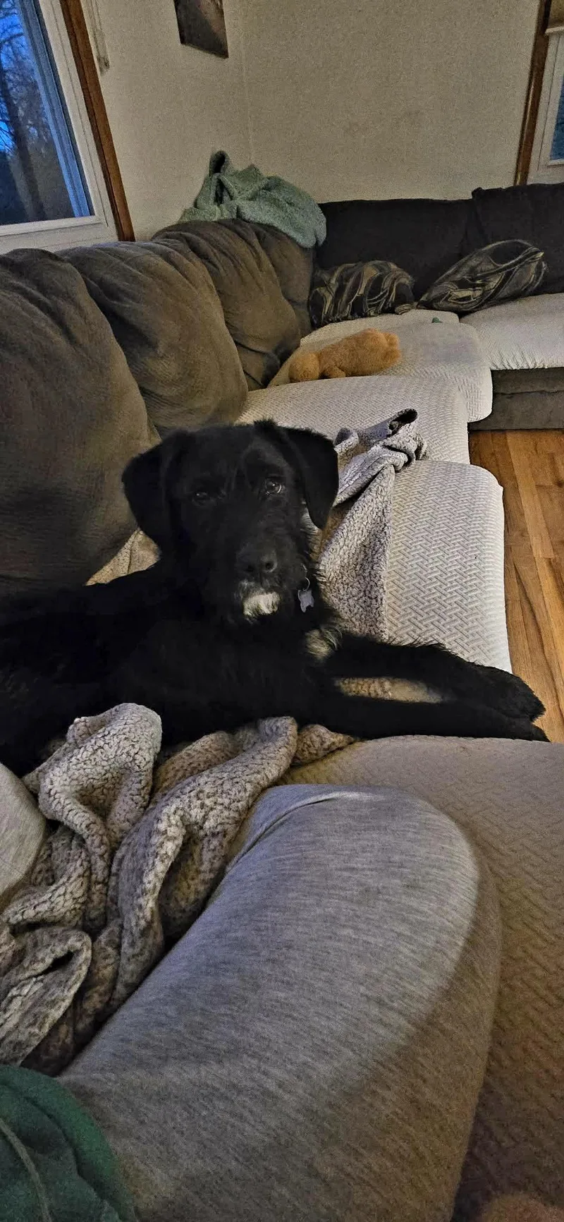 Silly Tilly thumbnail 5