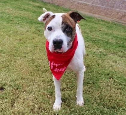 Benjamen thumbnail 3