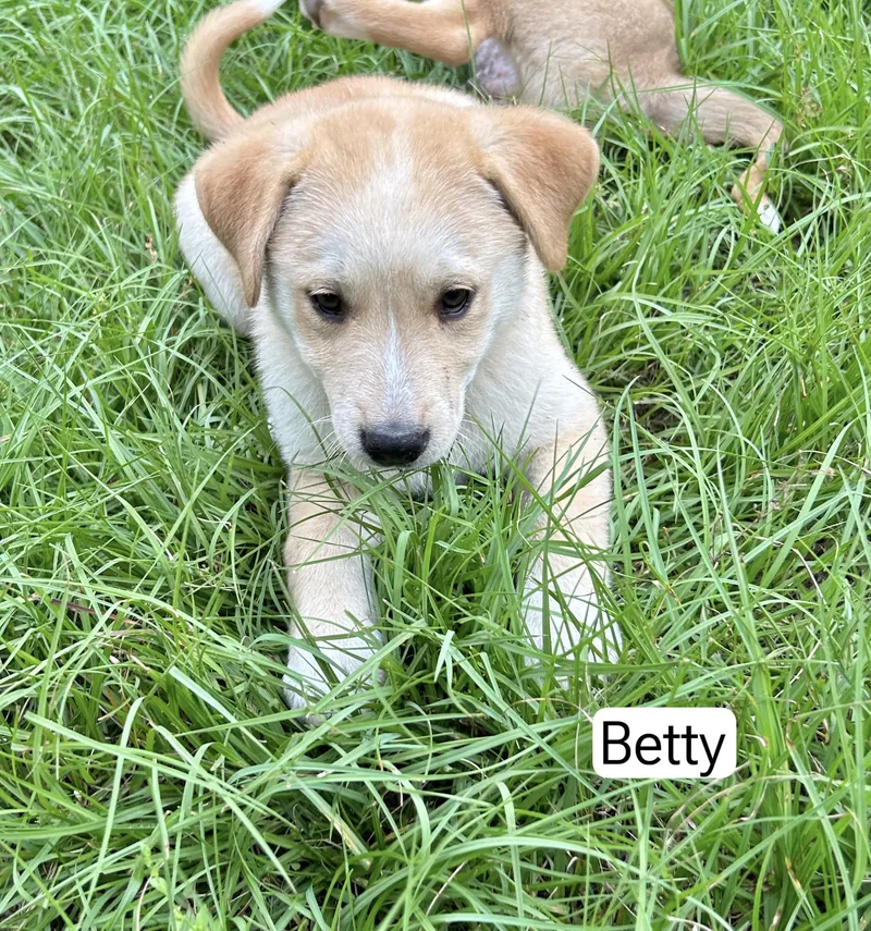 Betty